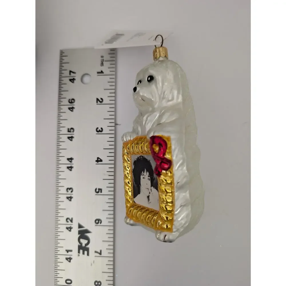 Christopher Radko Sugar Holiday 1998 Elizabeth Taylor AIDS Foundation Ornament
